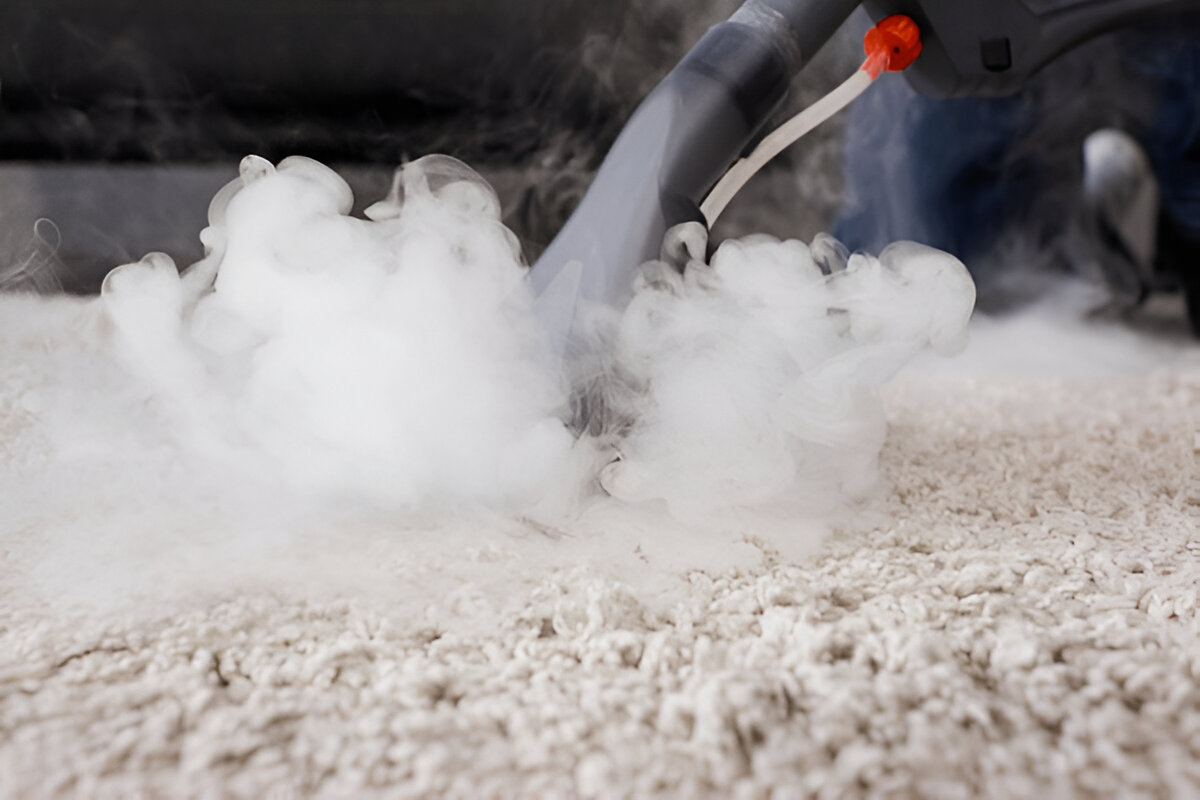 Carpet Steam Cleaning