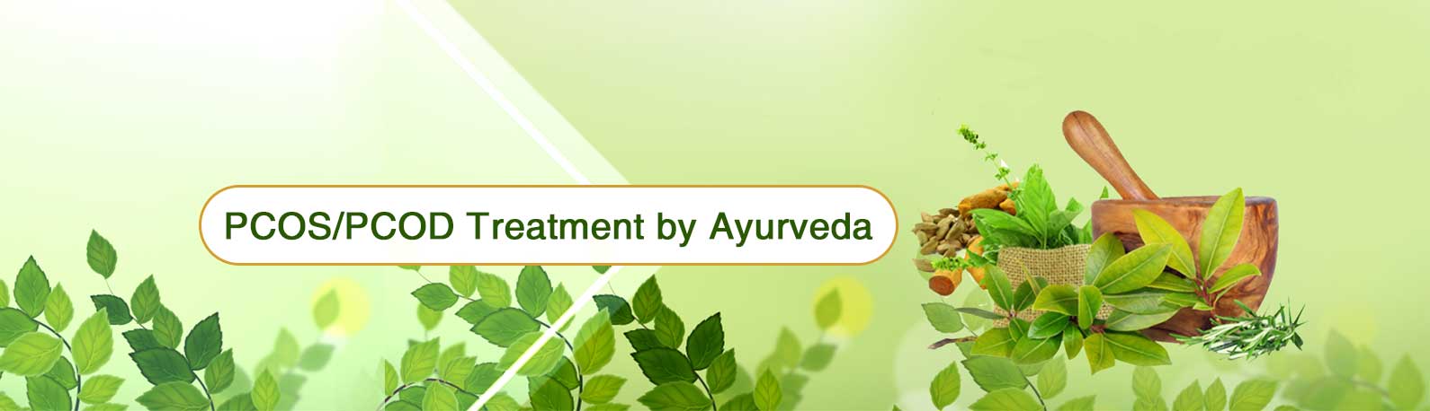 PCOS Treatment in Delhi | PCOD Treatment in Delhi – Arogya Nidhi