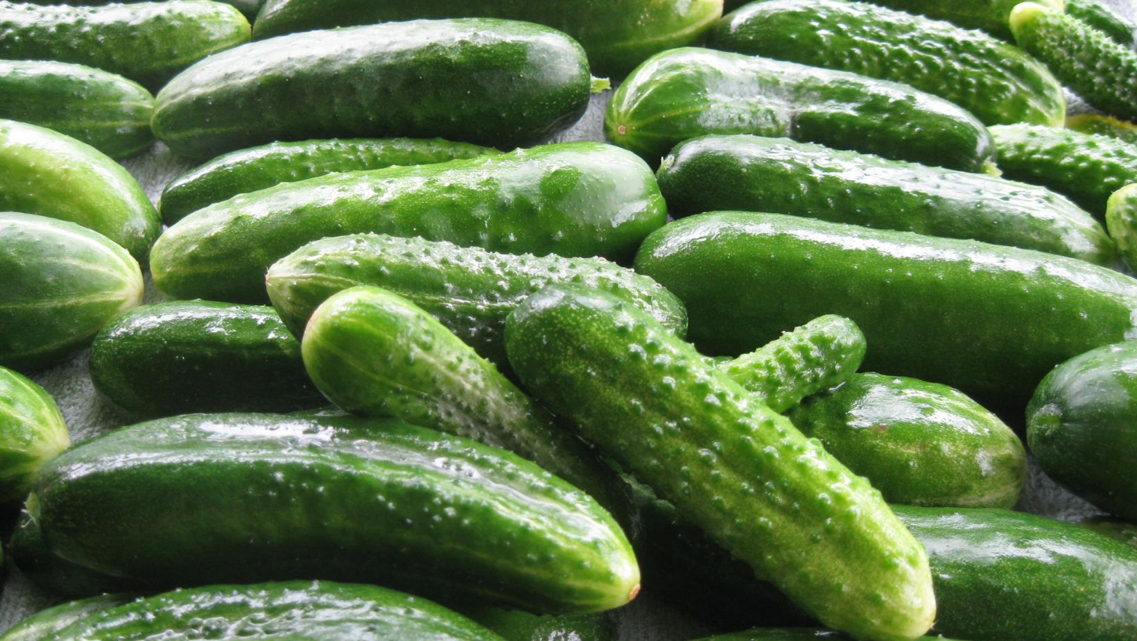 Can cucumber burn belly fat?